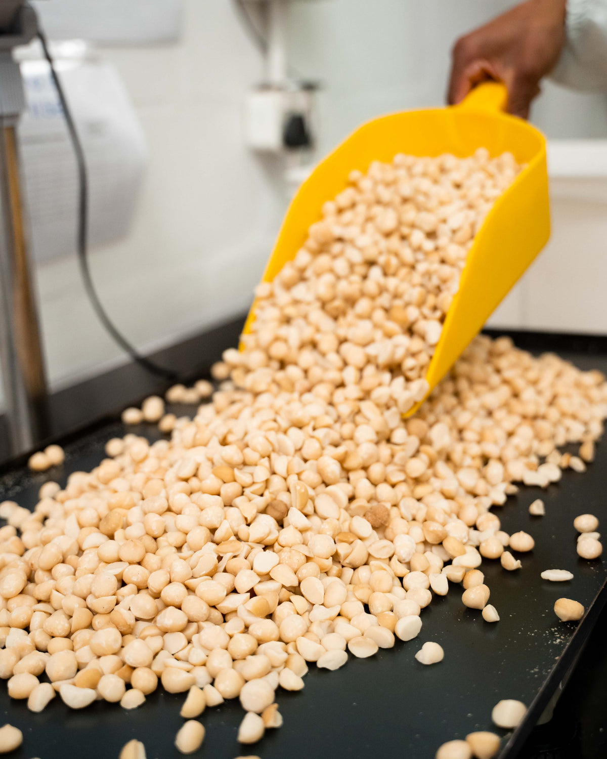 Snižují makadamové ořechy cholesterol? Fakta, srovnání a proč dávají smysl víc, než si myslíš